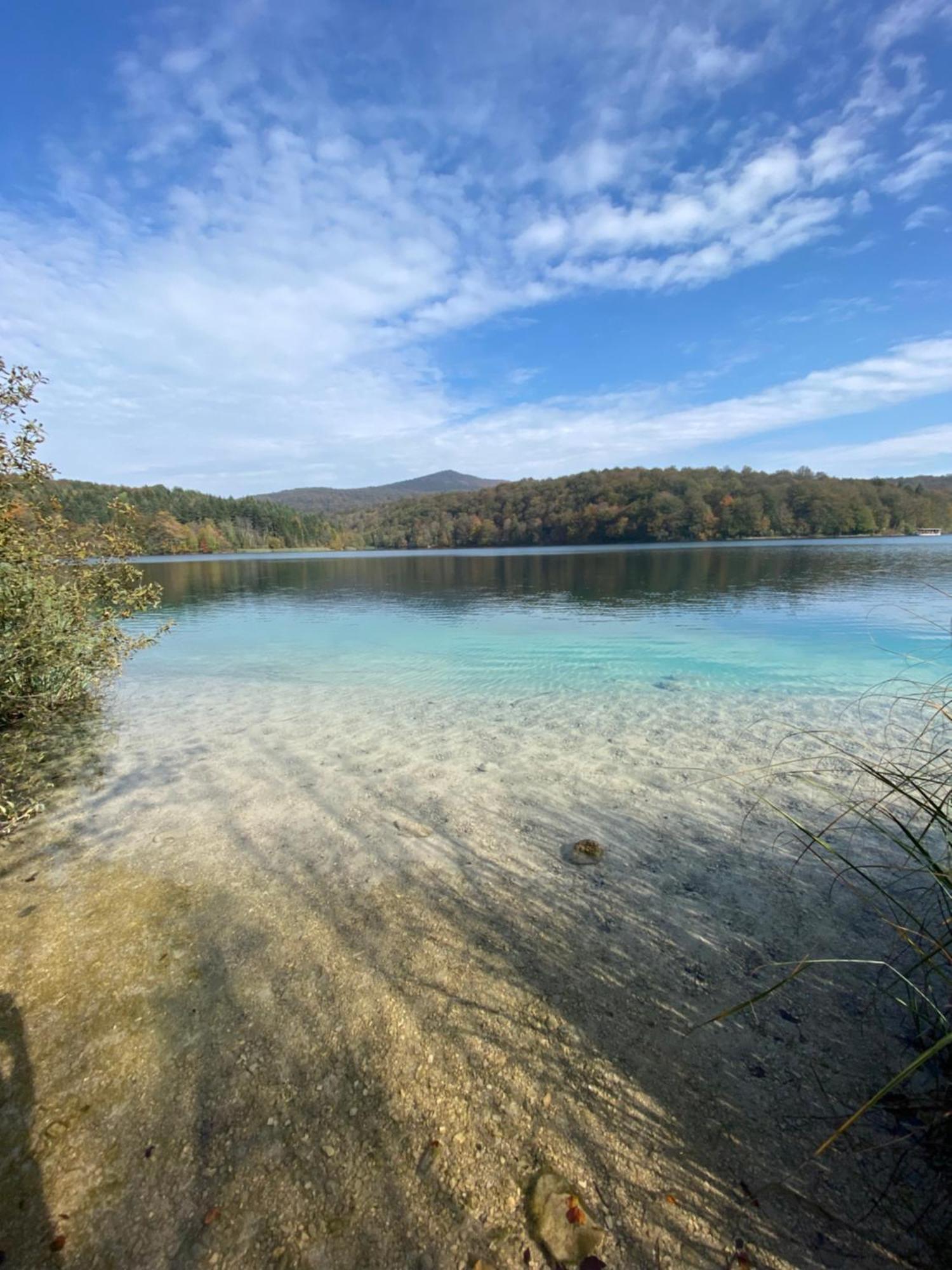 B&B Plitvice Area Natura Селище Дрежницько Екстер'єр фото